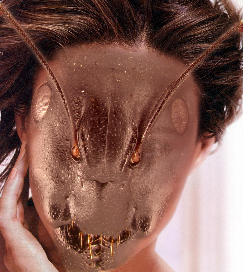 Diseño de Photoshop por DigitalExtreme para DesignCrowd (Community Contests) | Diseño #9120200