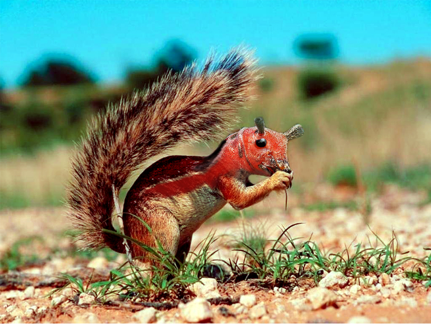 Photoshop Design by Mimerq for DesignCrowd (Community Contests) | Design #9100220