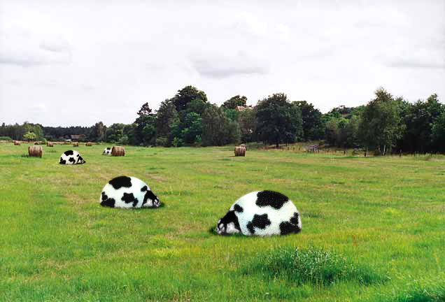 Photoshop Design by Mistabeen for DesignCrowd (Community Contests) | Design #9100223