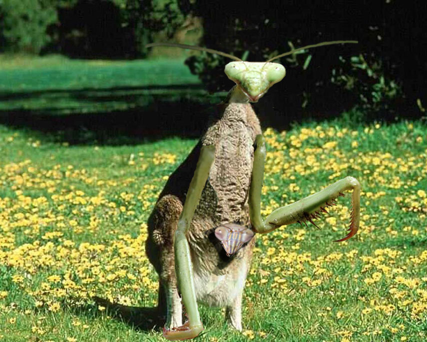 Photoshop Design by TheGemini for DesignCrowd (Community Contests) | Design #9100258