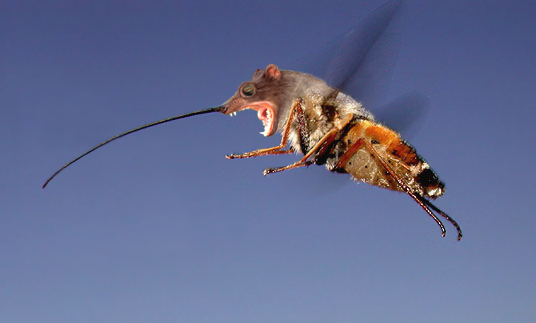 Photoshop Design by sunkit for DesignCrowd (Community Contests) | Design #9100295