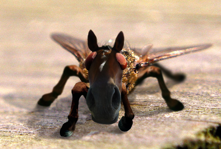 Photoshop Design by lebbTN for DesignCrowd (Community Contests) | Design #9100336