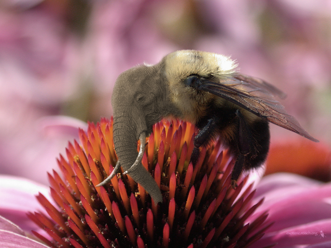 Photoshop-Design von serupklekker für DesignCrowd (Community Contests) | Design #9100383