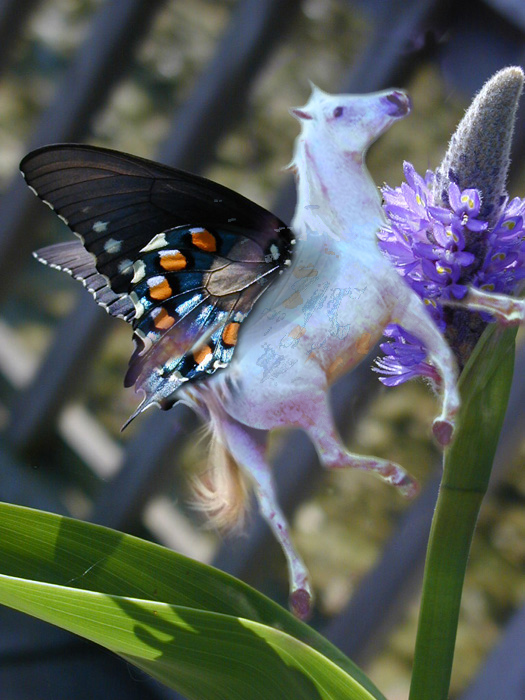 Photoshop Design by mehere for DesignCrowd (Community Contests) | Design #9100315