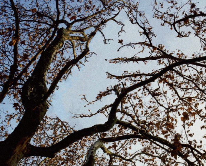 Photoshop Design by mikeeshowbiz for DesignCrowd (Community Contests) | Design #9115176