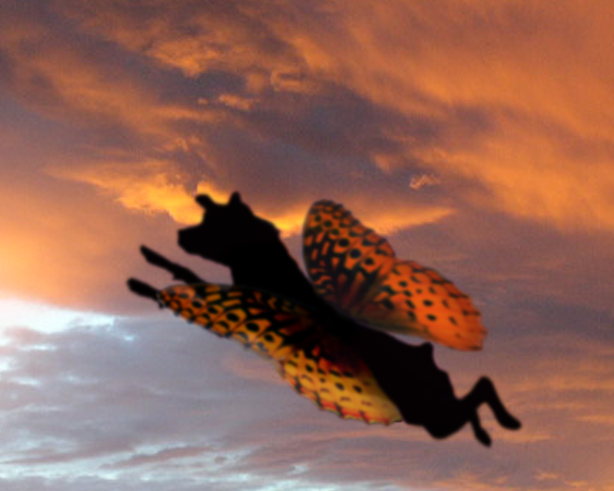 Design Photoshop par Nomad613 pour DesignCrowd (Community Contests) | Design #9100364