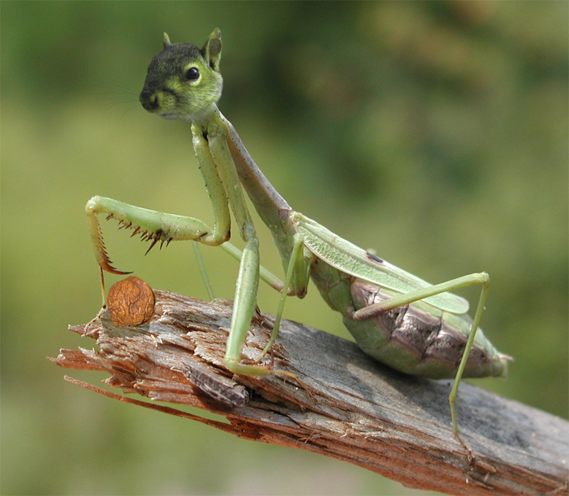 Photoshop Design by IceDesign for DesignCrowd (Community Contests) | Design #9100404