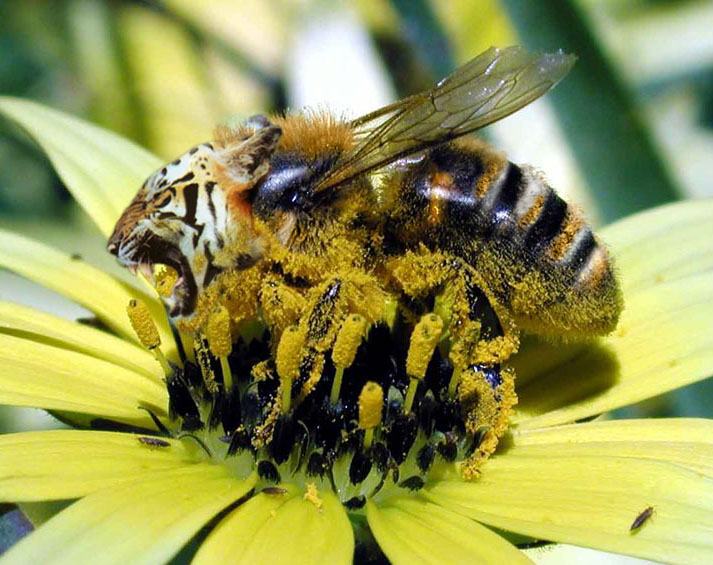 Design Photoshop par BullyBoy pour DesignCrowd (Community Contests) | Design #9100395