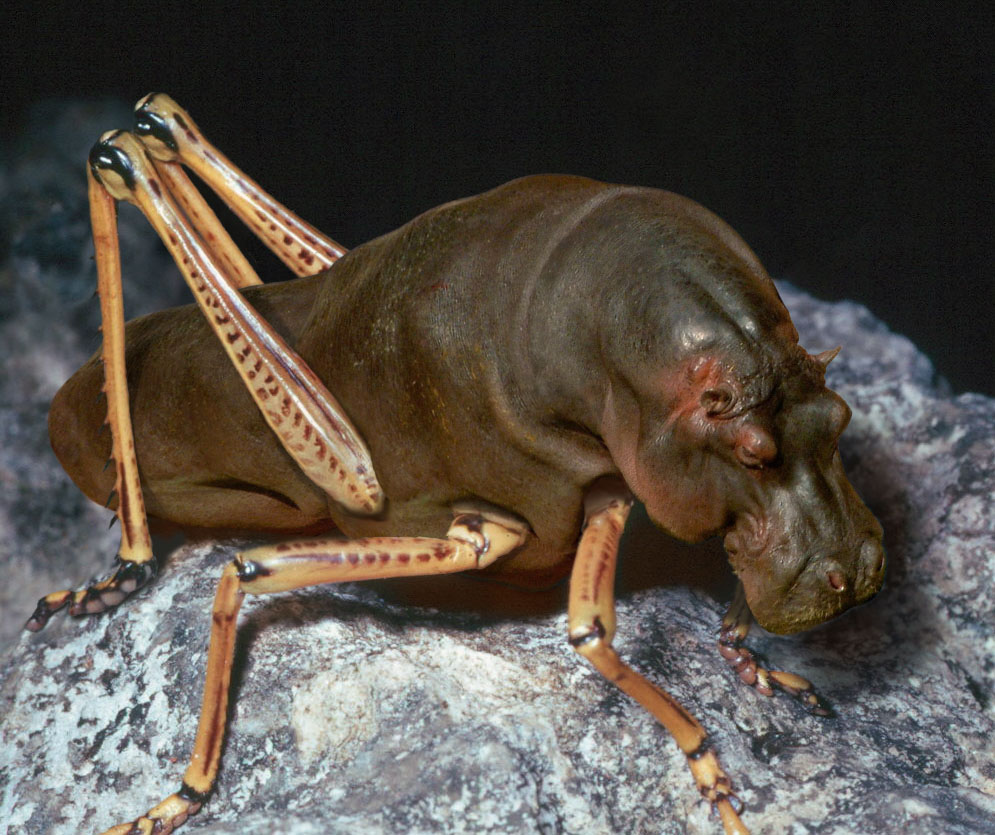 Photoshop Design by antarctic for DesignCrowd (Community Contests) | Design #9100370