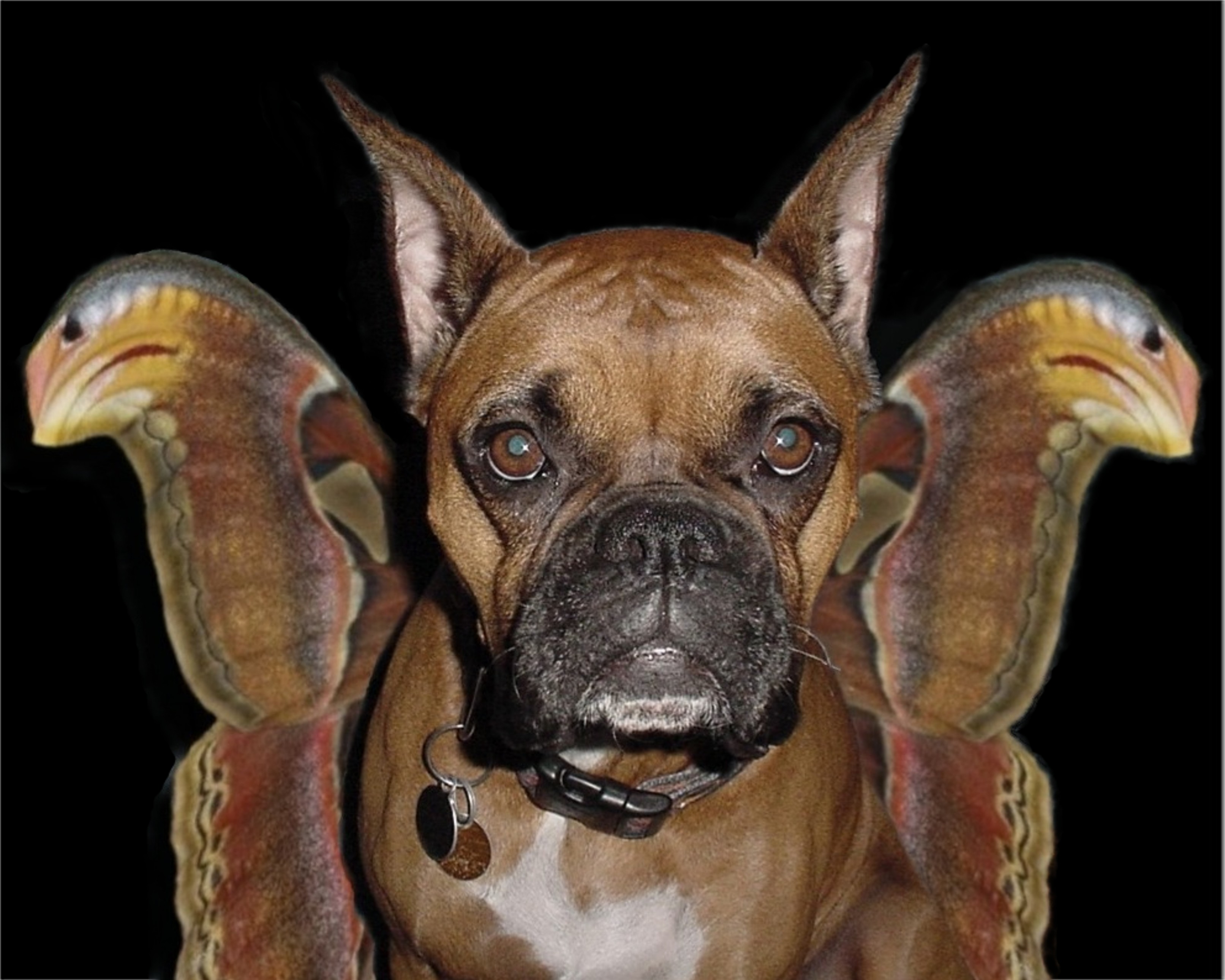 Photoshop Design by Nana for DesignCrowd (Community Contests) | Design #9100445