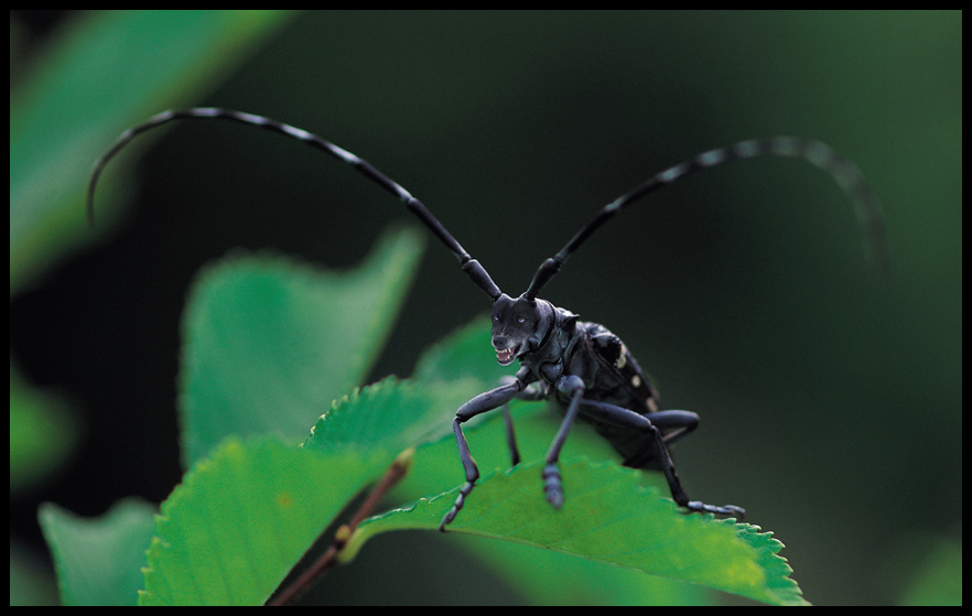 Diseño de Photoshop por darrellperry para DesignCrowd (Community Contests) | Diseño #9100454