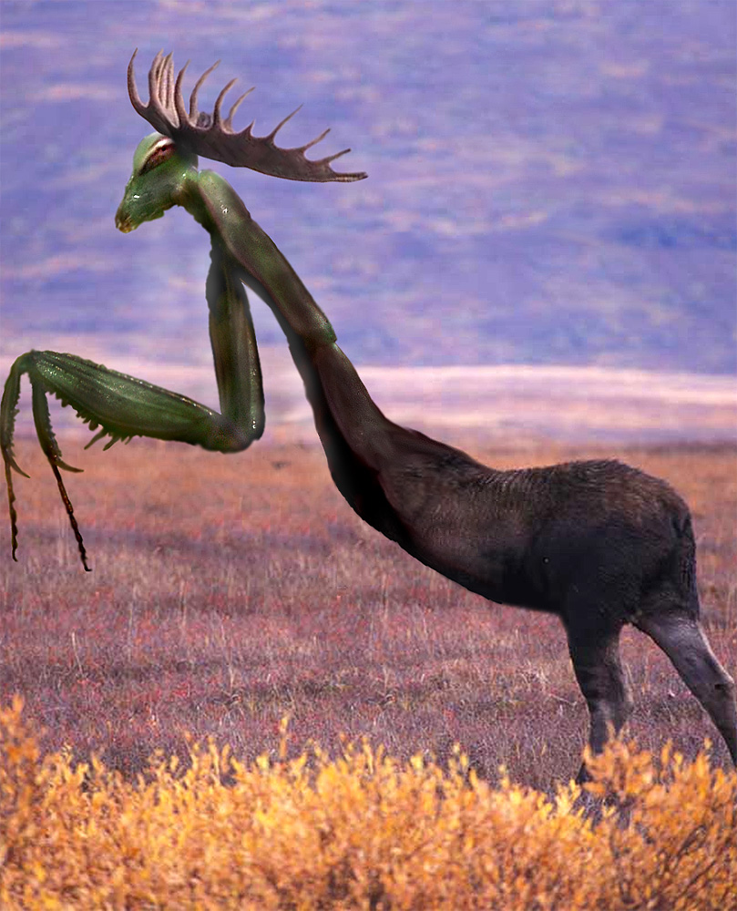 Photoshop Design by axwear for DesignCrowd (Community Contests) | Design #9100450