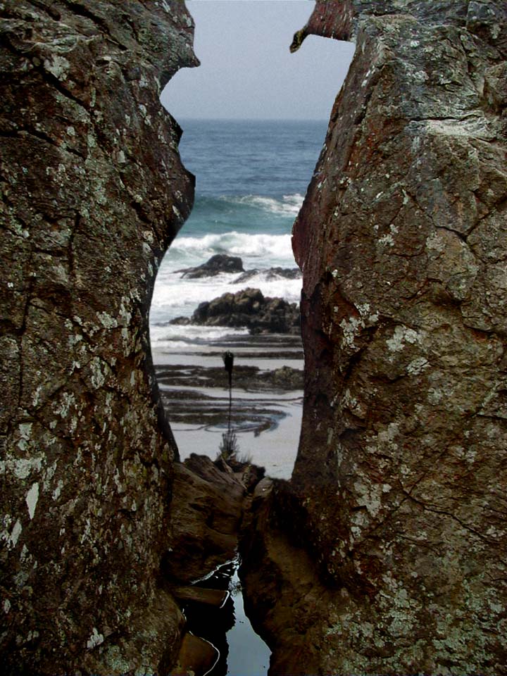 Design Photoshop par m000ch pour DesignCrowd (Community Contests) | Design #9115265