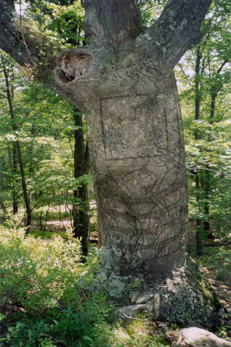 Diseño de Photoshop por Marinvc para DesignCrowd (Community Contests) | Diseño #9115243