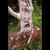 Photoshop Design by Yaron76