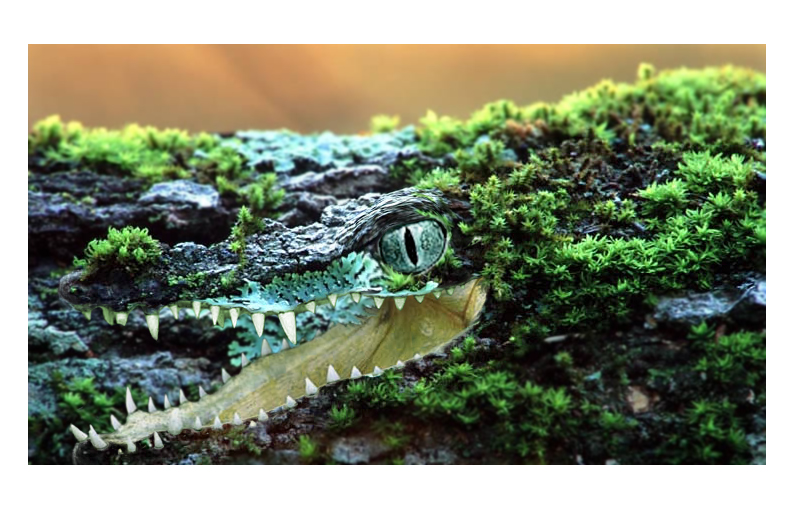 Photoshop Design by margin for DesignCrowd (Community Contests) | Design #9115424