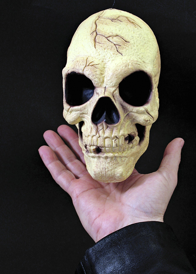 Photography by TampaDroid for DesignCrowd (Community Contests) | Design #9115939