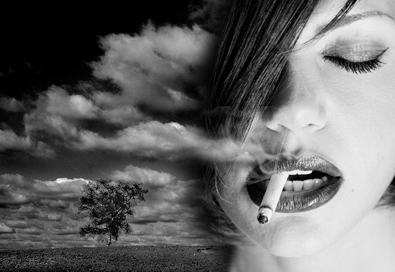 Design Photoshop par MsBrill pour DesignCrowd (Community Contests) | Design #9115993