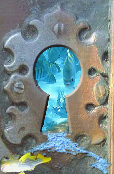 Photoshop Design by marianoh44 for DesignCrowd (Community Contests) | Design #9098124