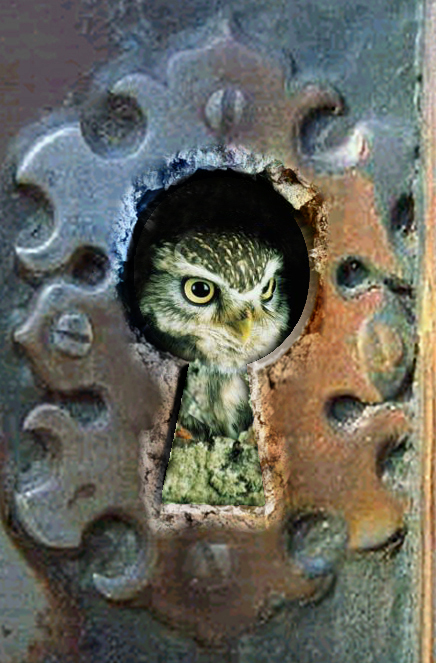 Photoshop Design by srinoo for DesignCrowd (Community Contests) | Design #9098135