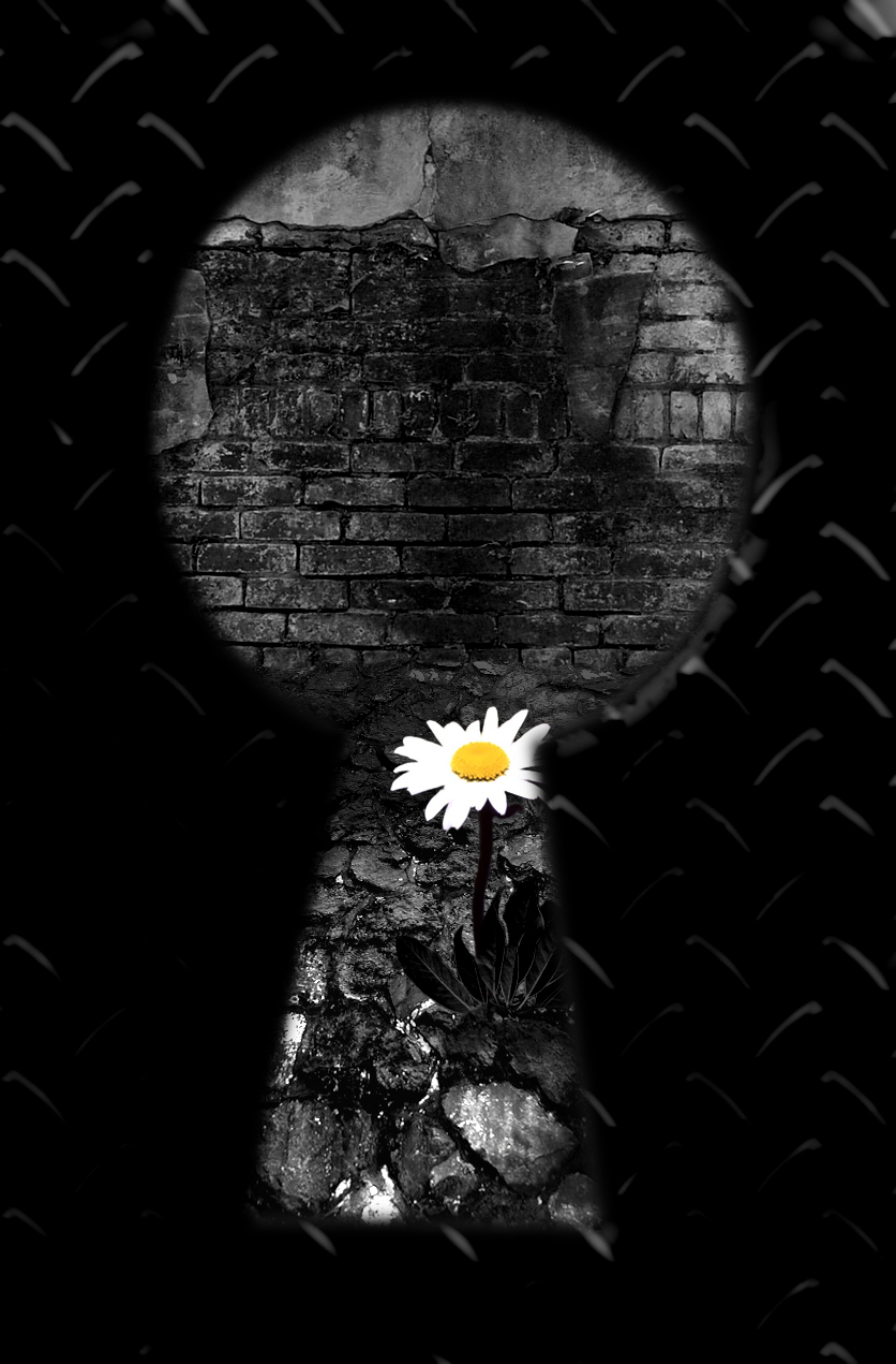 Photoshop Design by awfuldream for DesignCrowd (Community Contests) | Design #9098515