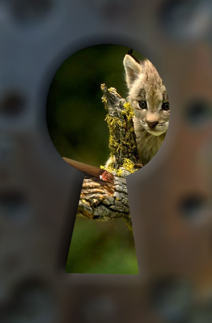 Photoshop Design by IceDesign for DesignCrowd (Community Contests) | Design #9098501