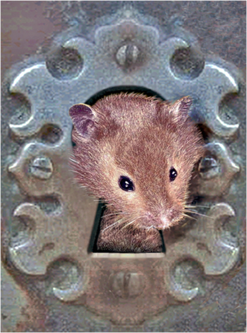 Design Photoshop par OneHappyFemale pour DesignCrowd (Community Contests) | Design #9098339