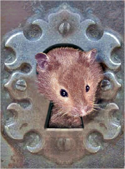 Photoshop Design by OneHappyFemale