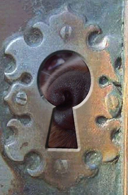 Diseño de Photoshop por Redstar para DesignCrowd (Community Contests) | Diseño #9098374