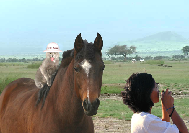 Photoshop Design by Genjamin for DesignCrowd (Community Contests) | Design #9114454