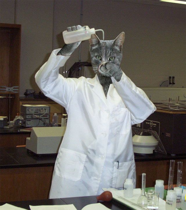 Design Photoshop par zeesamar pour DesignCrowd (Community Contests) | Design #9114460