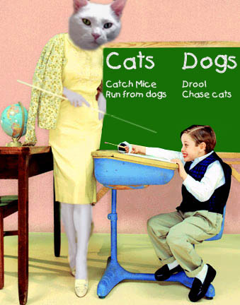 Photoshop Design by caribouranch for DesignCrowd (Community Contests) | Design #9114573