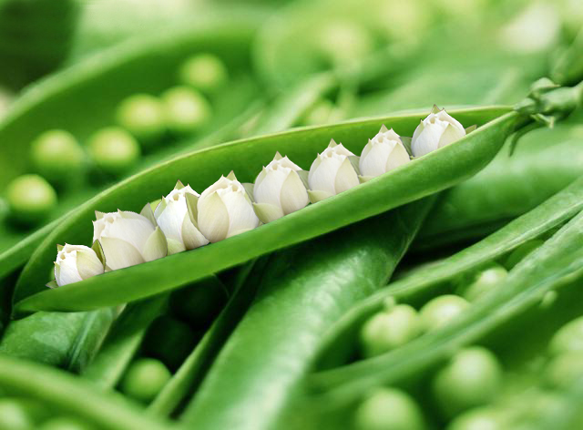 Photoshop Design by srinoo for DesignCrowd (Community Contests) | Design #9091496