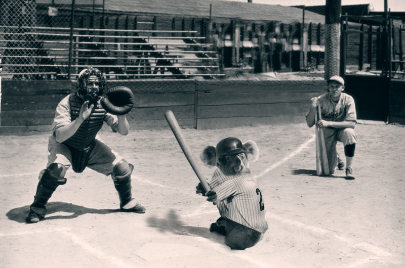 Diseño de Photoshop por vdvalmont para DesignCrowd (Community Contests) | Diseño #9114788