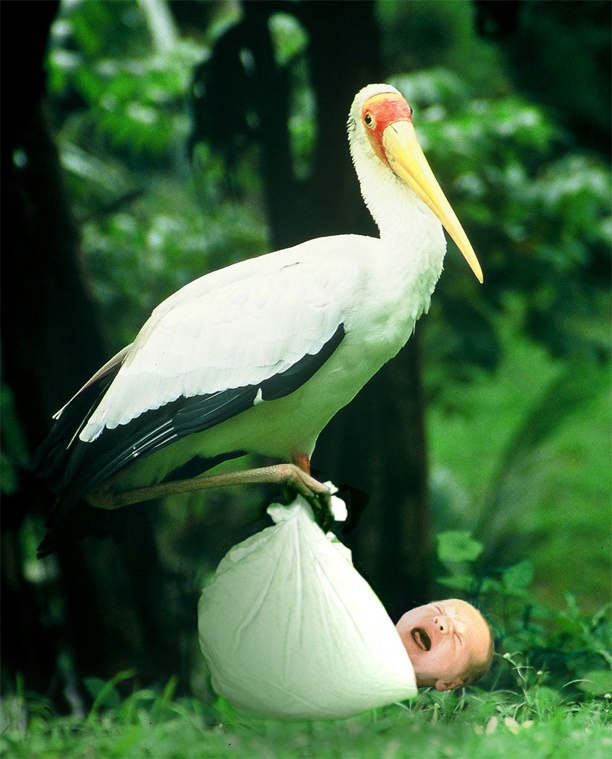 Design Photoshop par tylart pour DesignCrowd (Community Contests) | Design #9114701