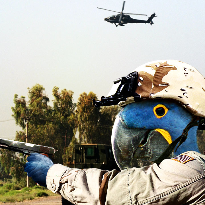 Photoshop Design by eDorie for DesignCrowd (Community Contests) | Design #9114642