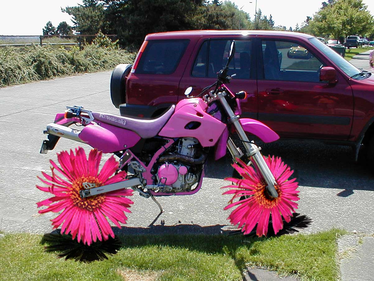 Photoshop Design by trixmix for DesignCrowd (Community Contests) | Design #9091587