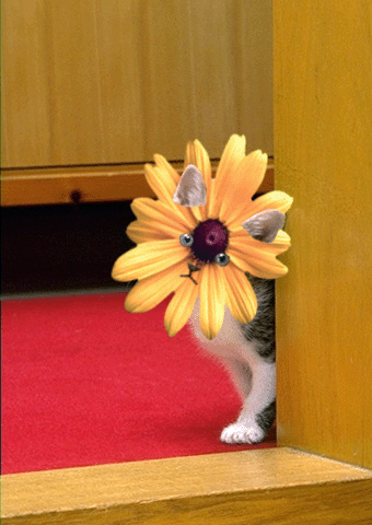 Photoshop Design by caribouranch for DesignCrowd (Community Contests) | Design #9091636