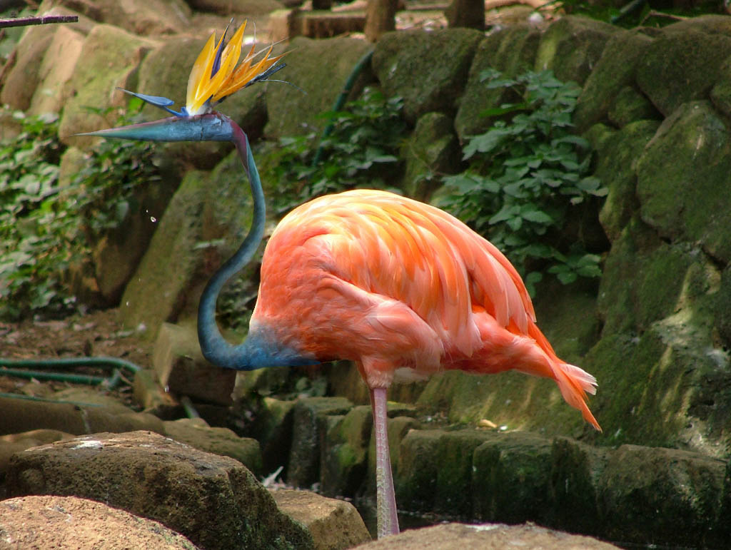 Design Photoshop par Vincent pour DesignCrowd (Community Contests) | Design #9091644