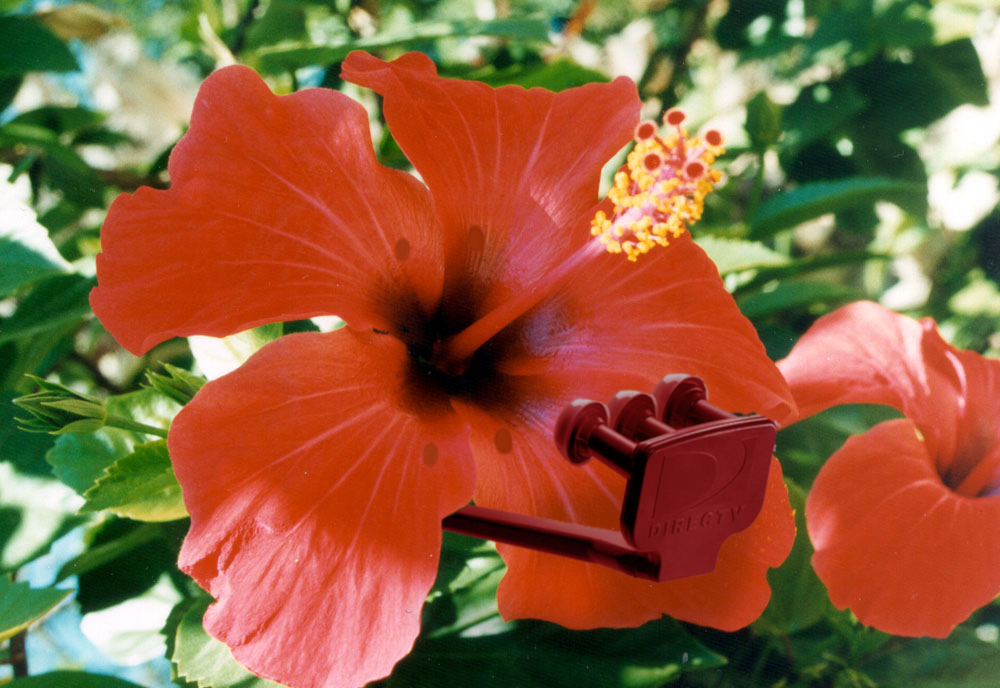 Photoshop-Design von dellville für DesignCrowd (Community Contests) | Design #9091697