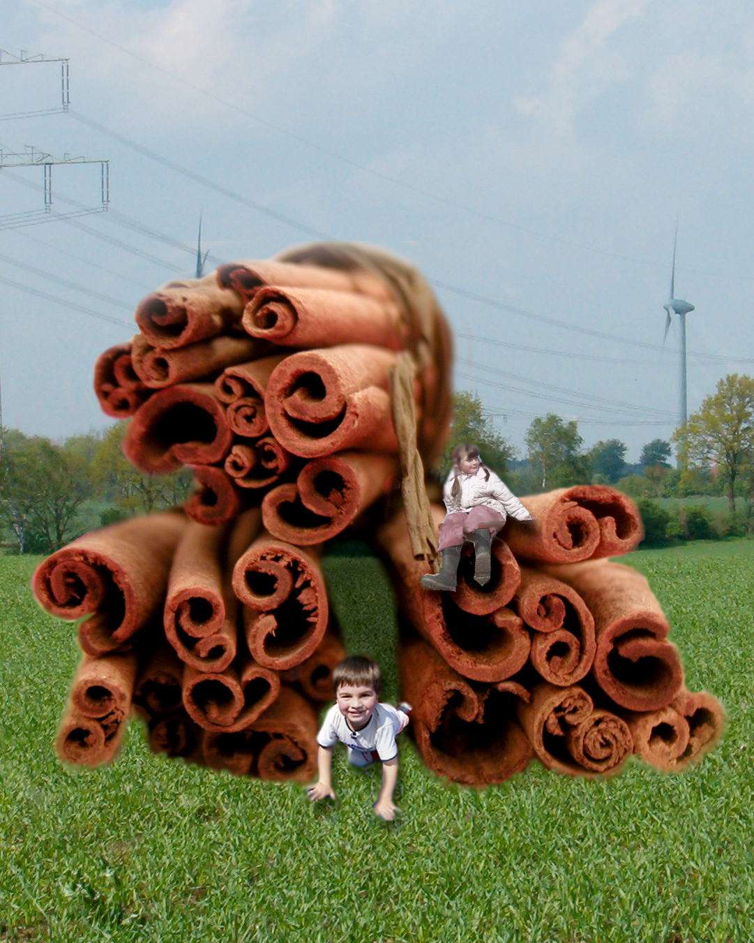 Photoshop Design by lucidgirl for DesignCrowd (Community Contests) | Design #9112297