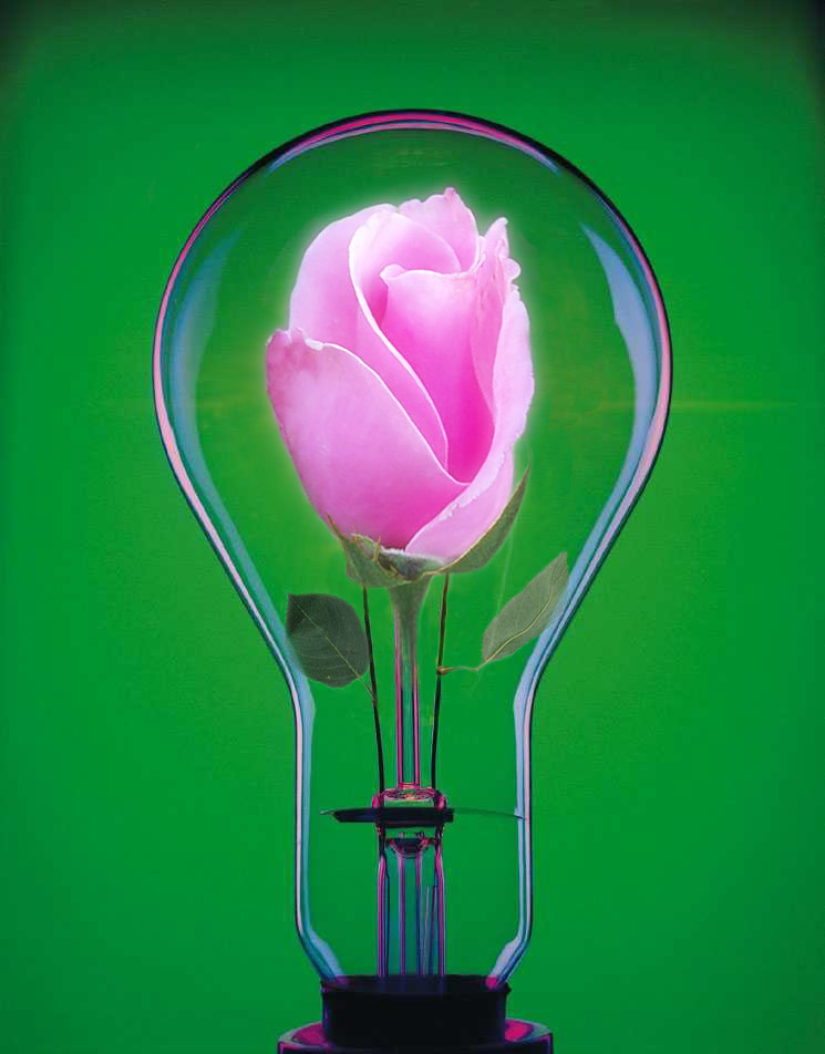 Design Photoshop par BullyBoy pour DesignCrowd (Community Contests) | Design #9091763