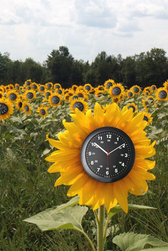 Photoshop Design by denileigh for DesignCrowd (Community Contests) | Design #9091702