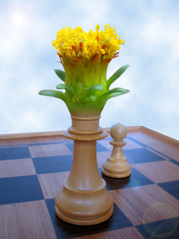 Photoshop Design by rootduck for DesignCrowd (Community Contests) | Design #9091730