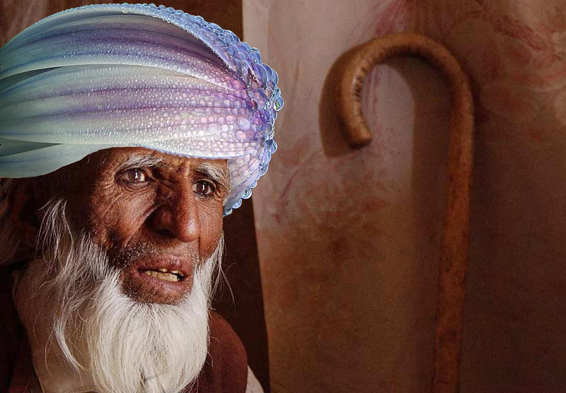 Diseño de Photoshop por Redstar para DesignCrowd (Community Contests) | Diseño #9091833