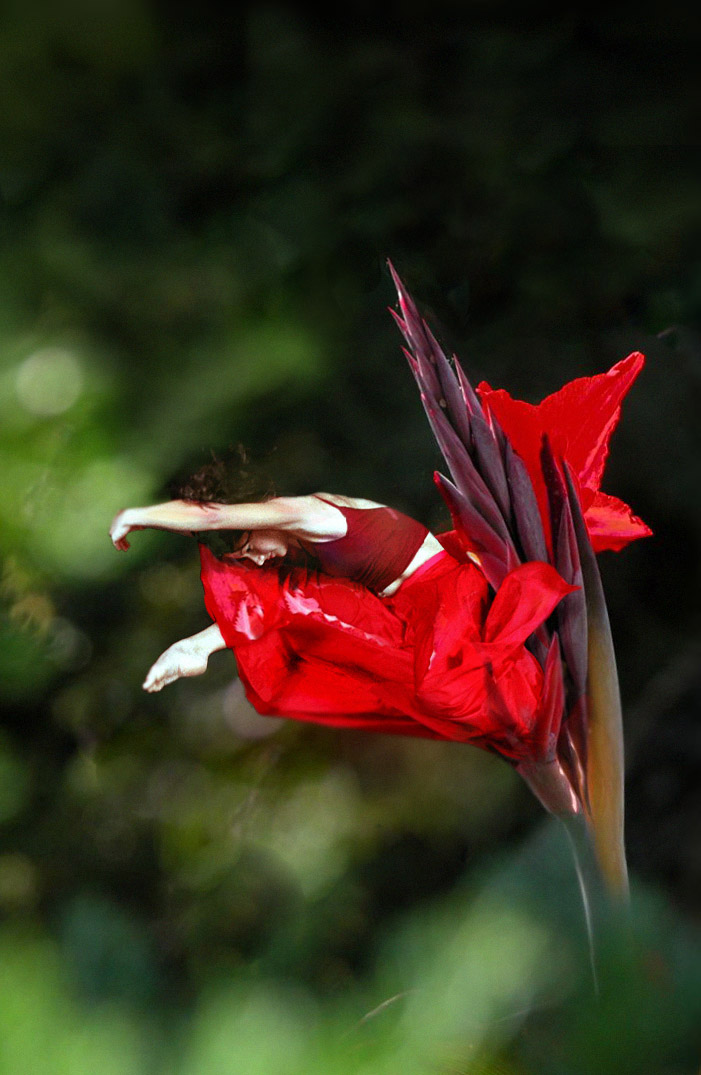 Diseño de Photoshop por Yaron76 para DesignCrowd (Community Contests) | Diseño #9091939