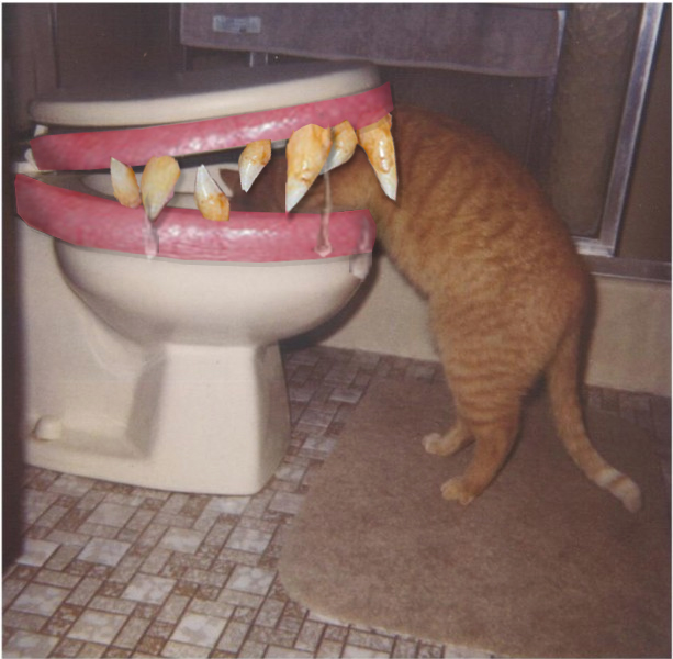 Photoshop Design by marianoh44 for DesignCrowd (Community Contests) | Design #9089676