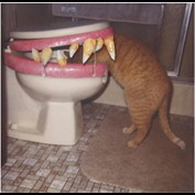 Photoshop Design by marianoh44