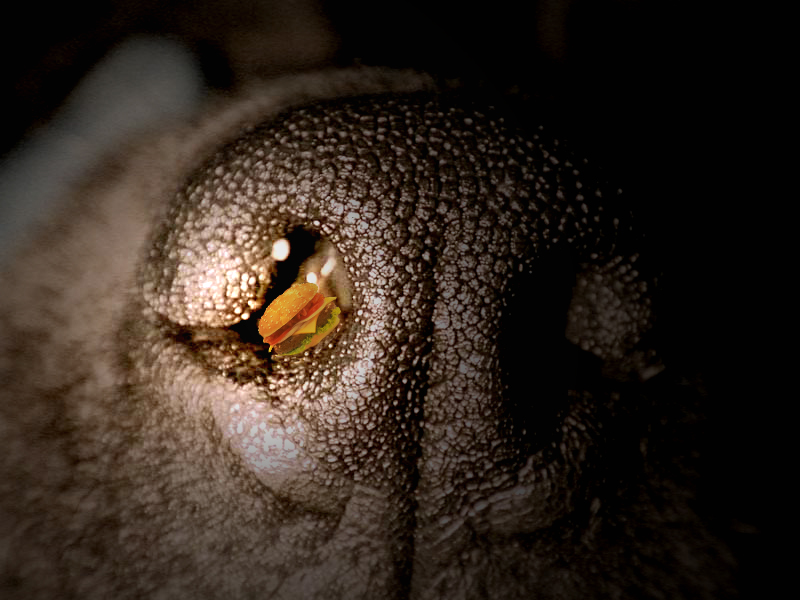 Photoshop Design by thehappytent for DesignCrowd (Community Contests) | Design #9112388