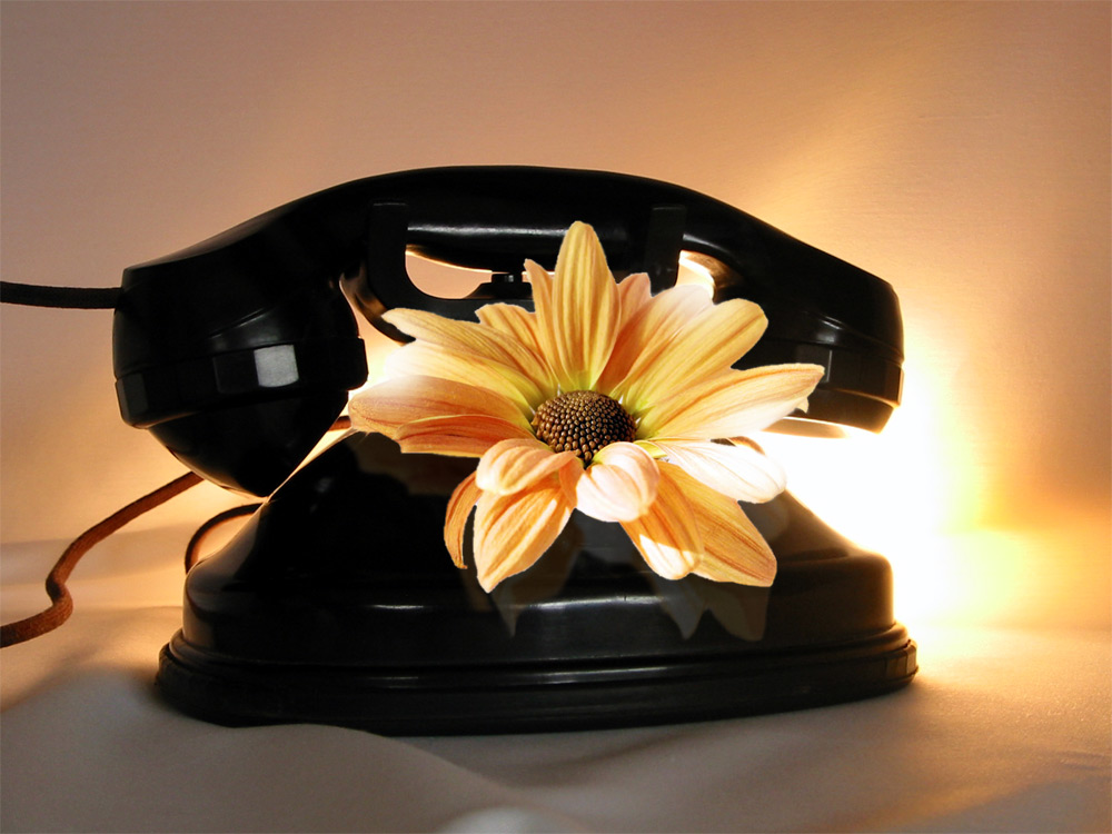 Diseño de Photoshop por codorna para DesignCrowd (Community Contests) | Diseño #9091862